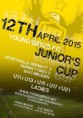 Young Birds FC JUNIOR'S CUP